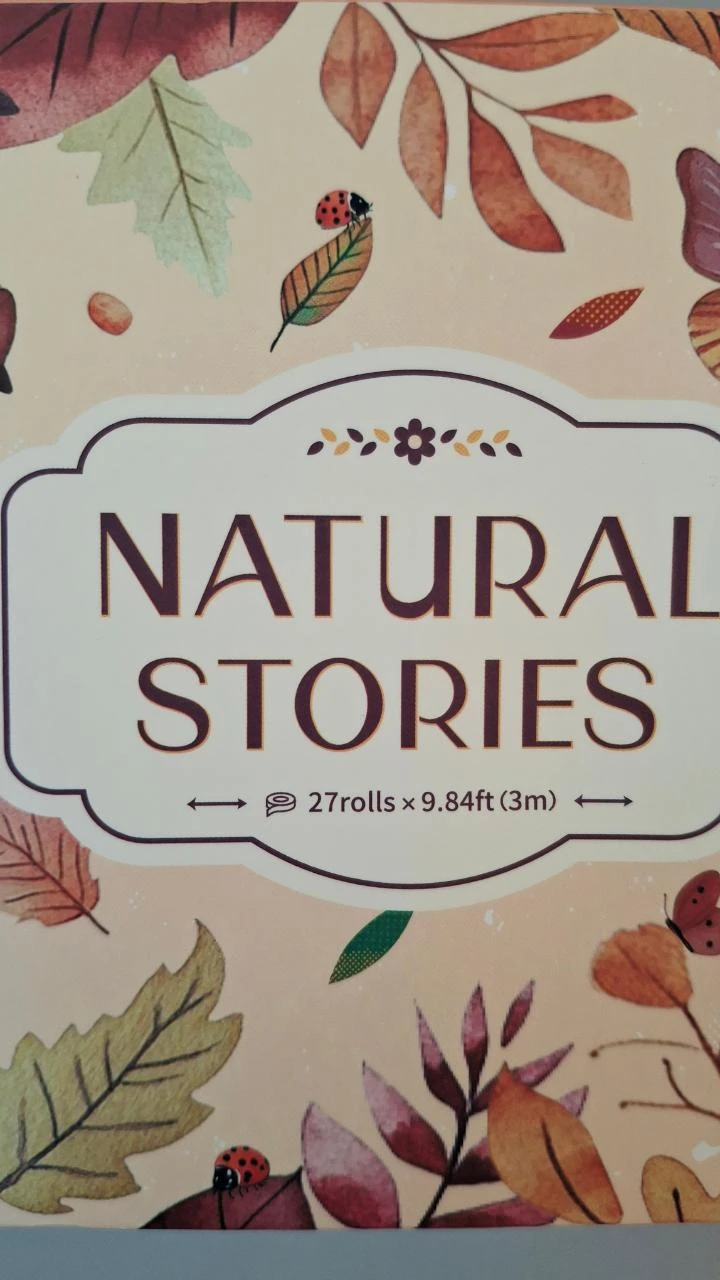 Conjunto de 27 rollos de cintas Washi Natureza – photo 6